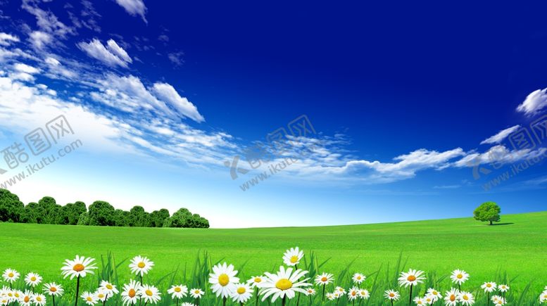 编号：66990609211716545974【酷图网】源文件下载-蓝天白云草地