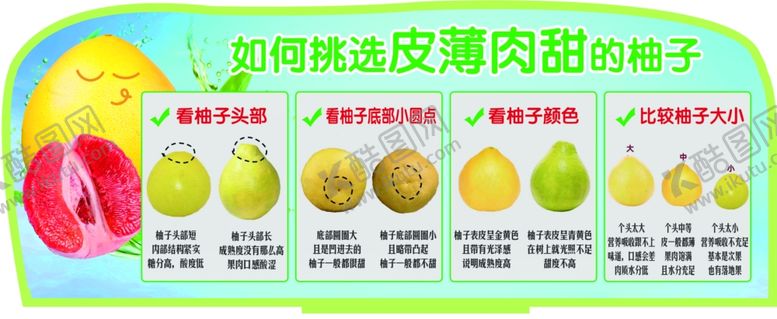 编号：86224202271516379220【酷图网】源文件下载-水果立牌柚子挑选技巧