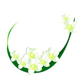 鲜花装饰