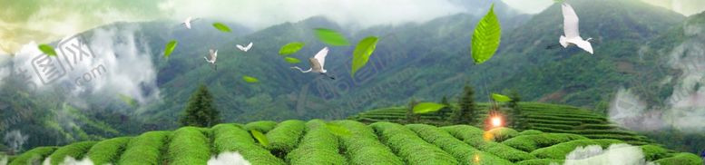 编号：17144410261819222934【酷图网】源文件下载-海报背景