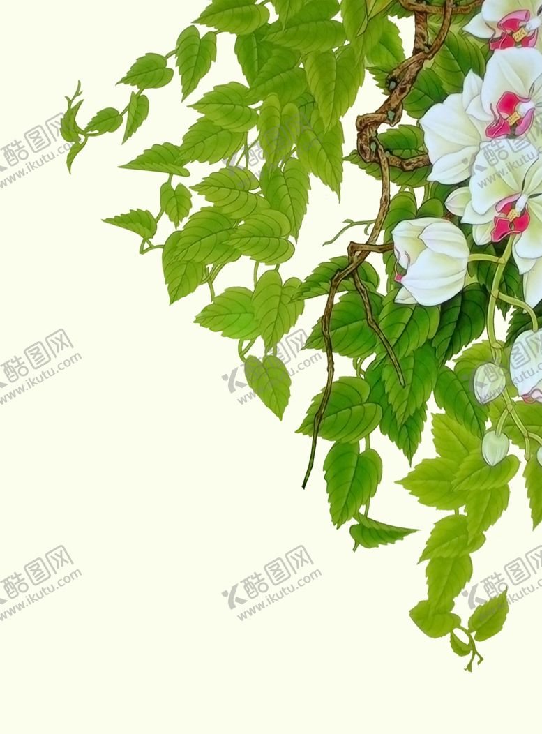 编号：42241506291309307437【酷图网】源文件下载-树叶