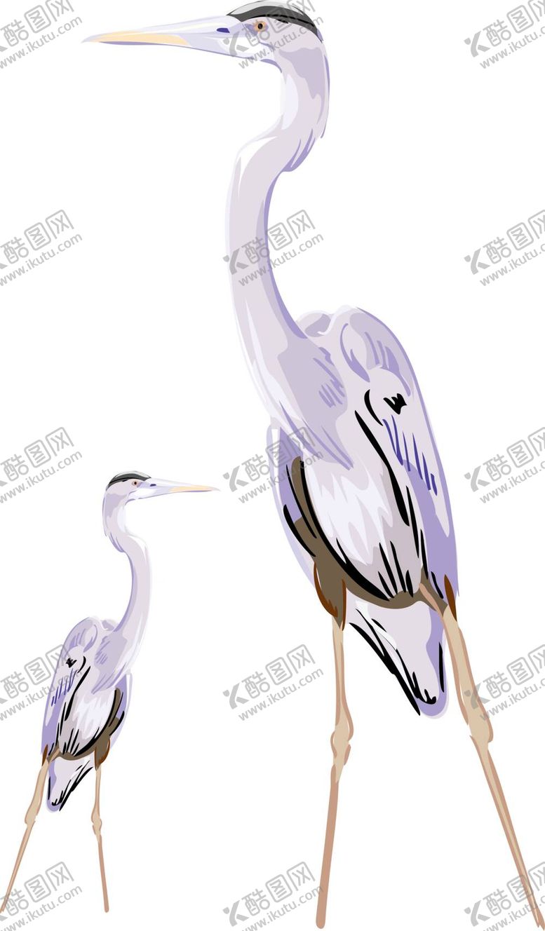 编号：49266011301632586644【酷图网】源文件下载-仙鹤素材
