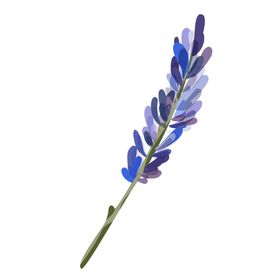 森系花枝