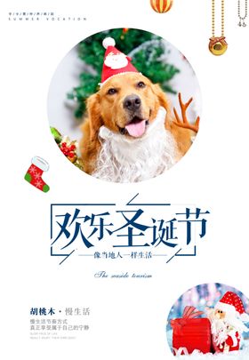 清新圣诞节快乐宣传海报