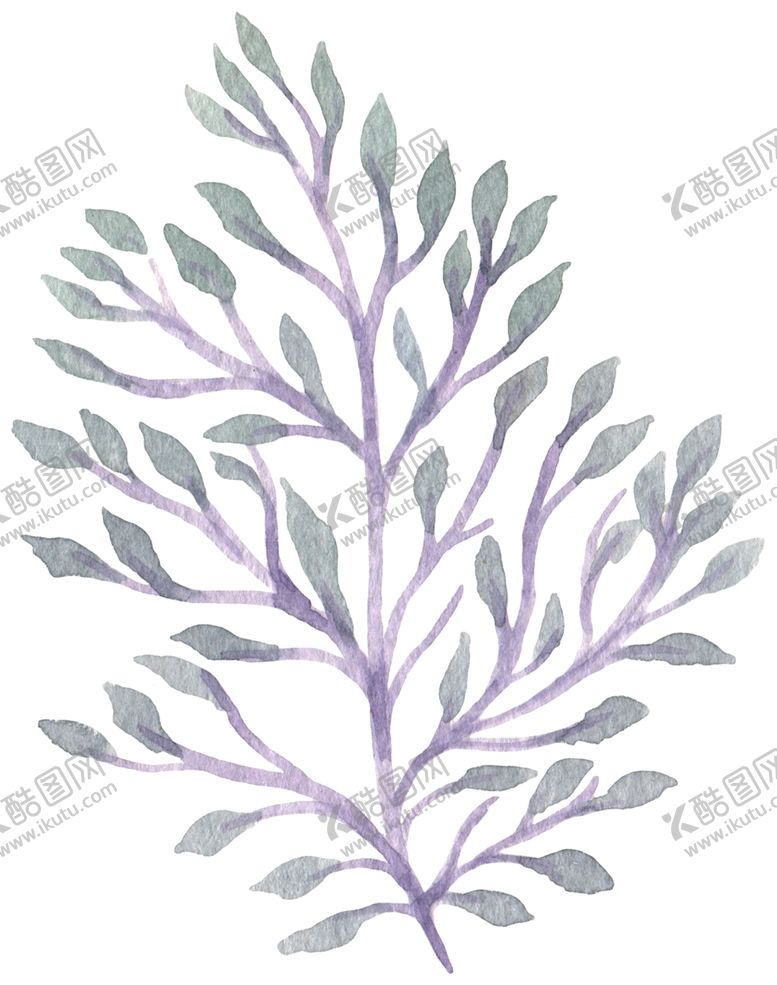 编号：97538306252221144338【酷图网】源文件下载-手绘植物