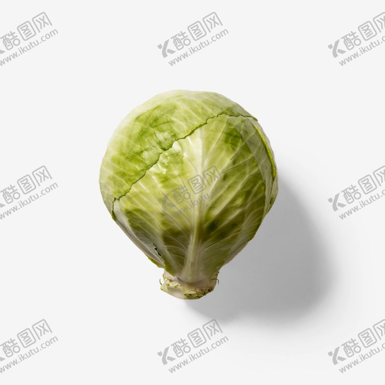 编号：51947202201555463458【酷图网】源文件下载-包菜叶