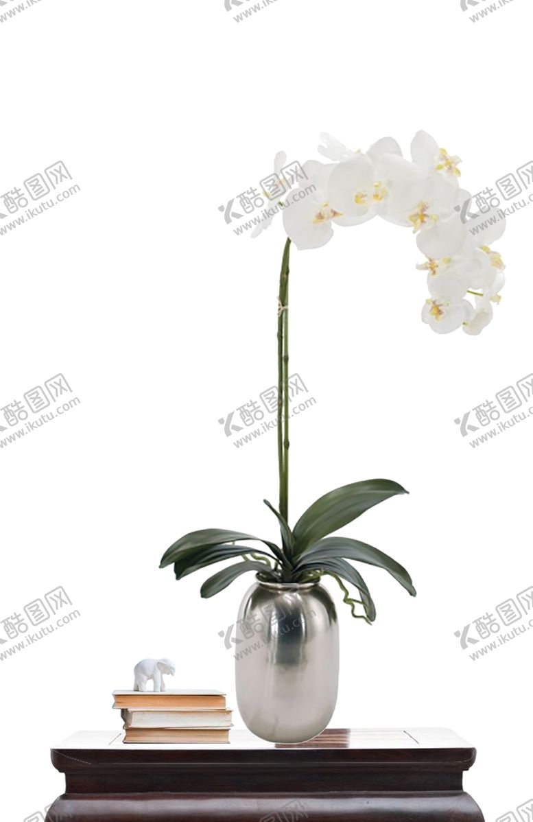 编号：68286310140308042602【酷图网】源文件下载-花艺