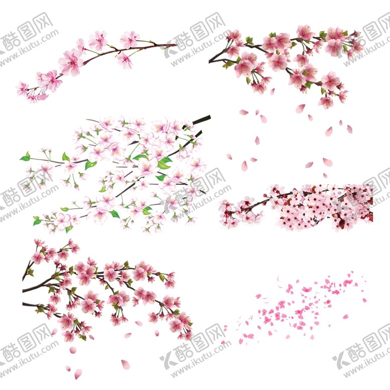 编号：26018809281101339261【酷图网】源文件下载-梅花