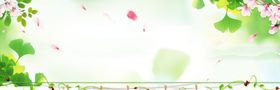 海报背景图绿色素材春季