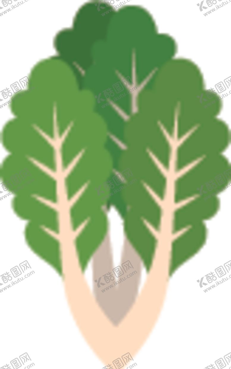 编号：56332509201625264683【酷图网】源文件下载-生菜