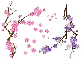 花卉瓣樱背景小清新
