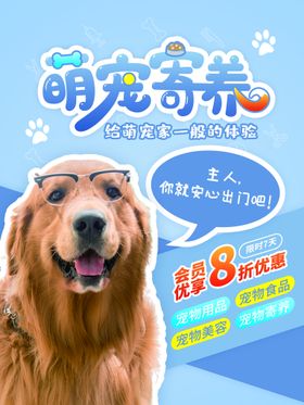 宠物海报淘宝首页日用品店彩页店