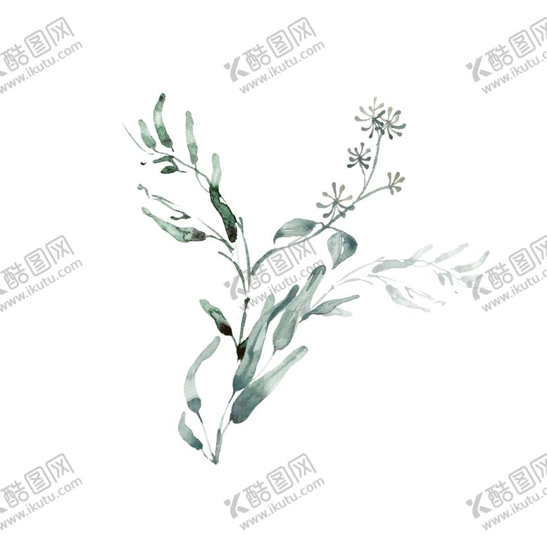 编号：23580509232304204697【酷图网】源文件下载-小清新水彩植物树枝
