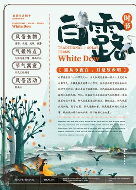白露海报山水芦苇飞机稿