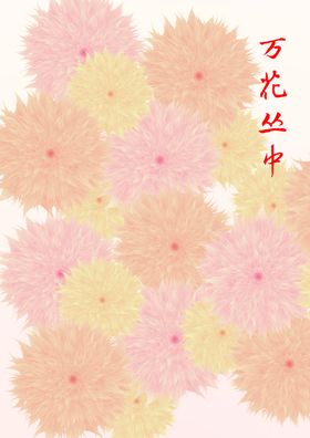 花朵图片