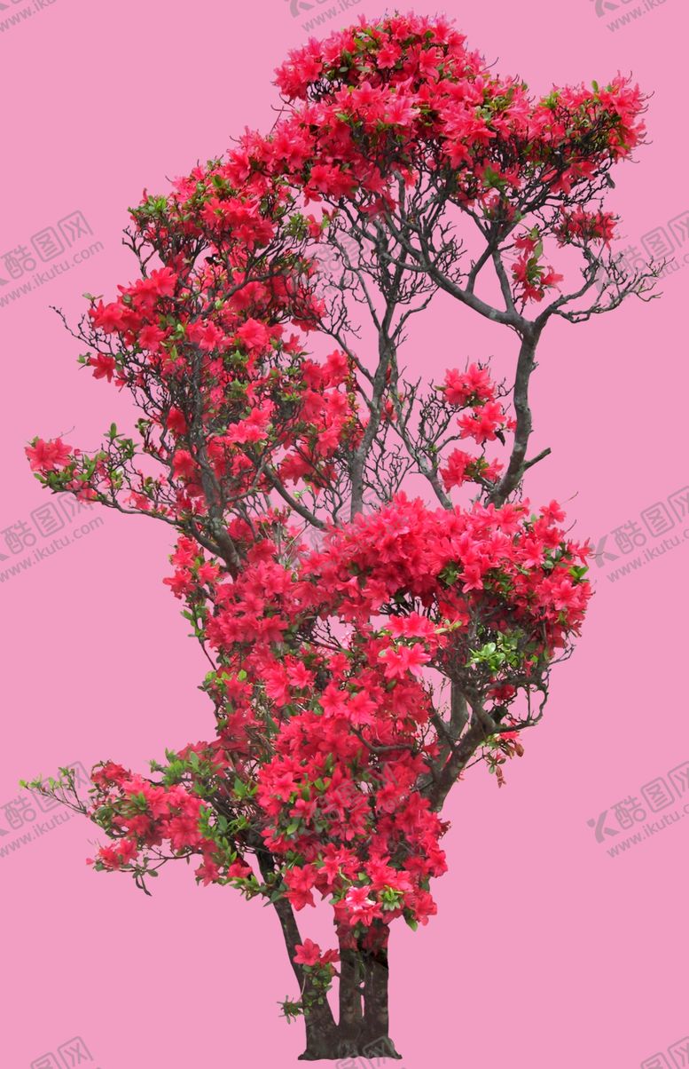 编号：57280410030234352231【酷图网】源文件下载-分层花