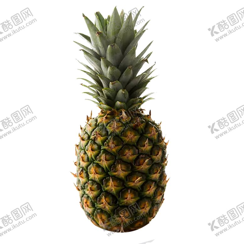 编号：57551409231512034110【酷图网】源文件下载-水果