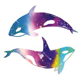 炫彩渐变鲸鱼图案