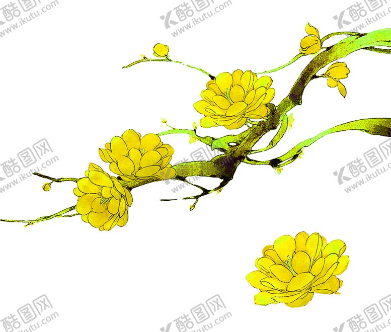 编号：73805907062046563181【酷图网】源文件下载-花素材