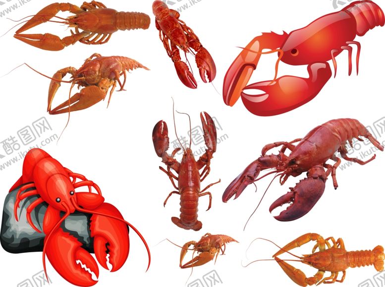 编号：98056809240634143566【酷图网】源文件下载-龙虾png免扣高清素材