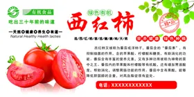 西红柿美食