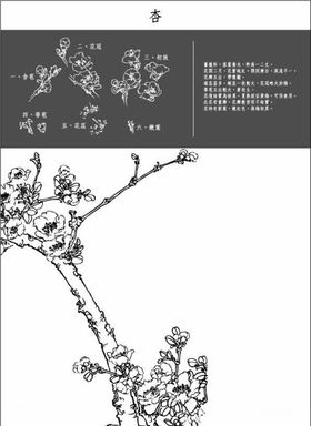 矢量中国火箭图谱
