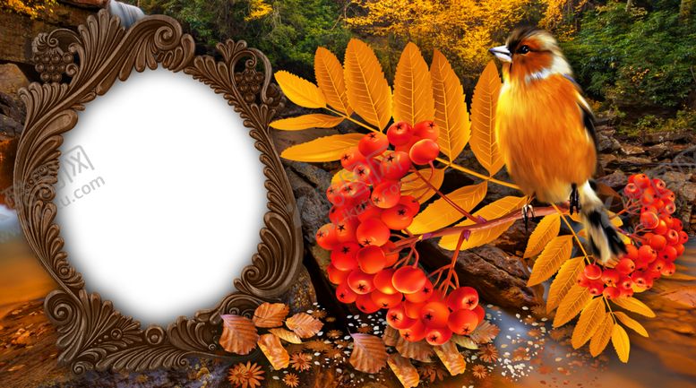 编号：23340810150105093825【酷图网】源文件下载-卡通镜框图片