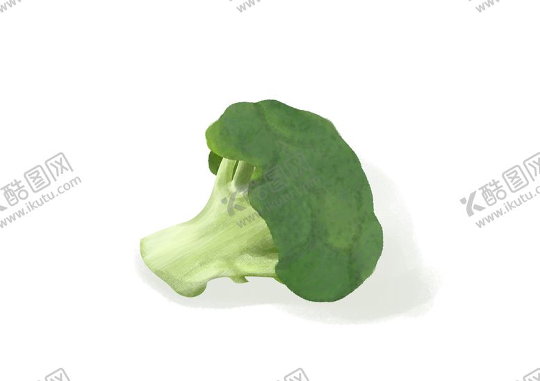 编号：21784909151622427038【酷图网】源文件下载-卡通手绘西蓝花  花椰菜绿色健康