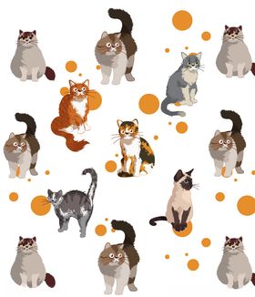 猫咪趣味素材