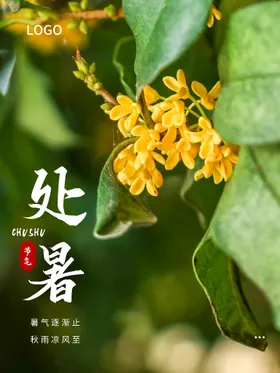 处暑图微信单片设计稿