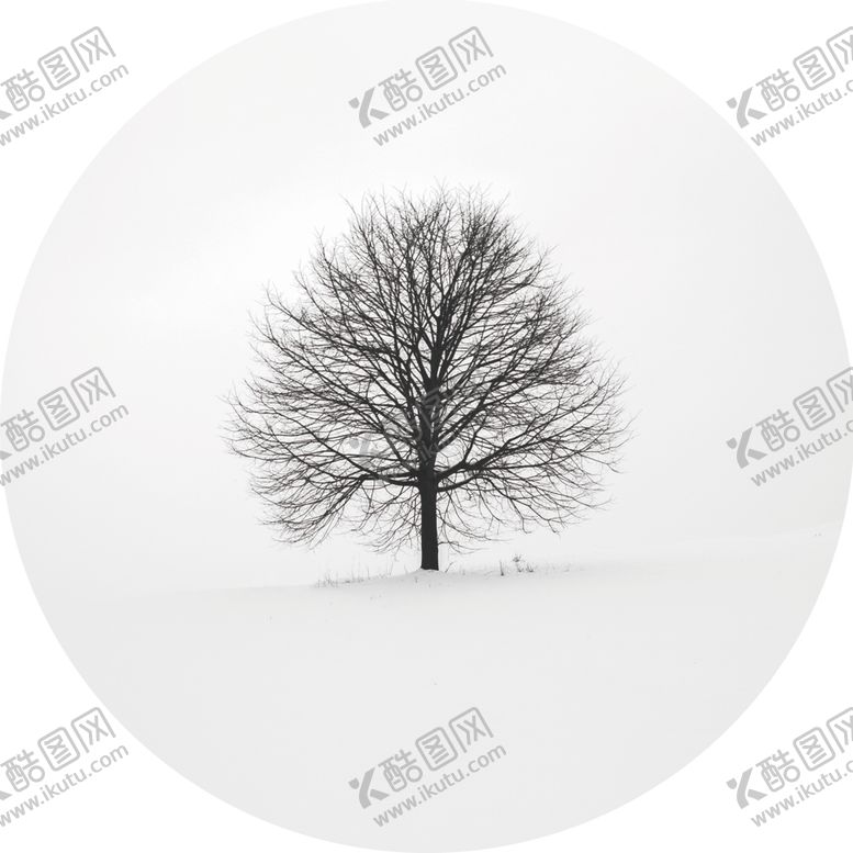 编号：79332910161745595136【酷图网】源文件下载-背景墙装饰画