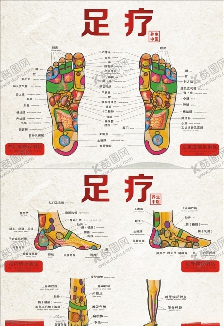 编号：20589207010725516486【酷图网】源文件下载-足疗