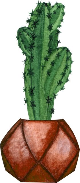 仙人掌插画壁纸