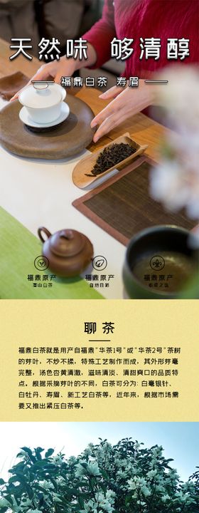 茶叶详情页  绿茶 绿色素材 