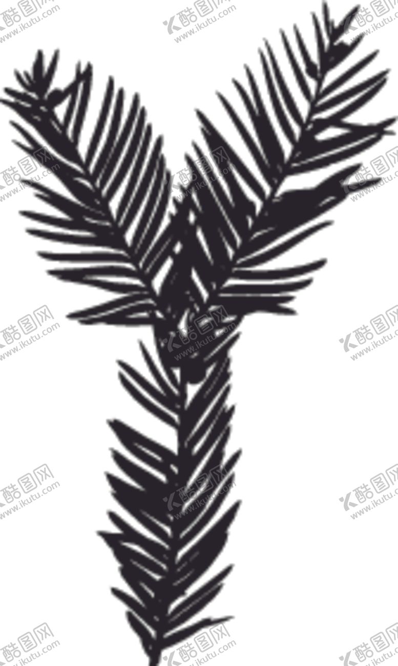 编号：67626210310040235386【酷图网】源文件下载-植物系列树叶