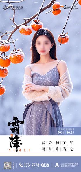 霜降节气海报整形雪花中式