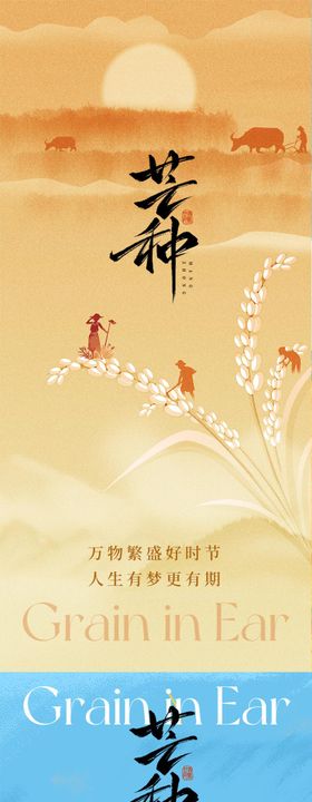 芒种丰收麦穗麦田稻田