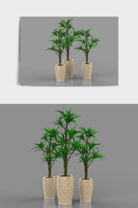 C4D模型植物