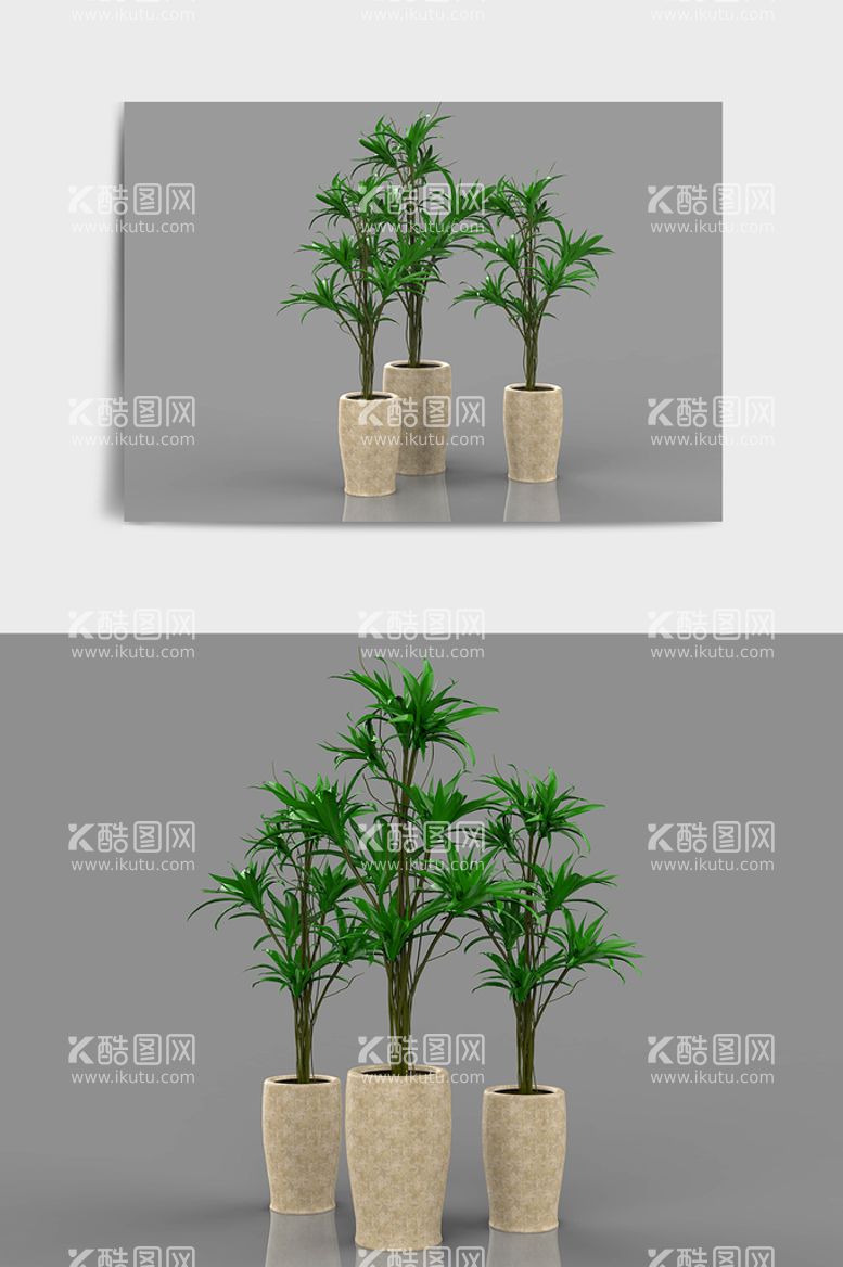 编号：44579412030532526482【酷图网】源文件下载-植物绿植C4D模型