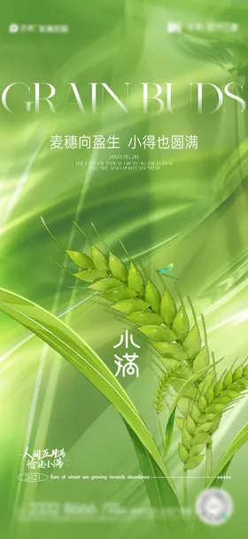 小满节气海报地产麦子麦穗二十四