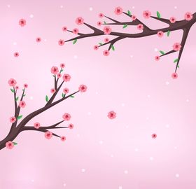 樱花