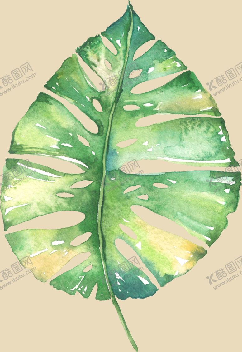 编号：44346209240557531555【酷图网】源文件下载-叶子