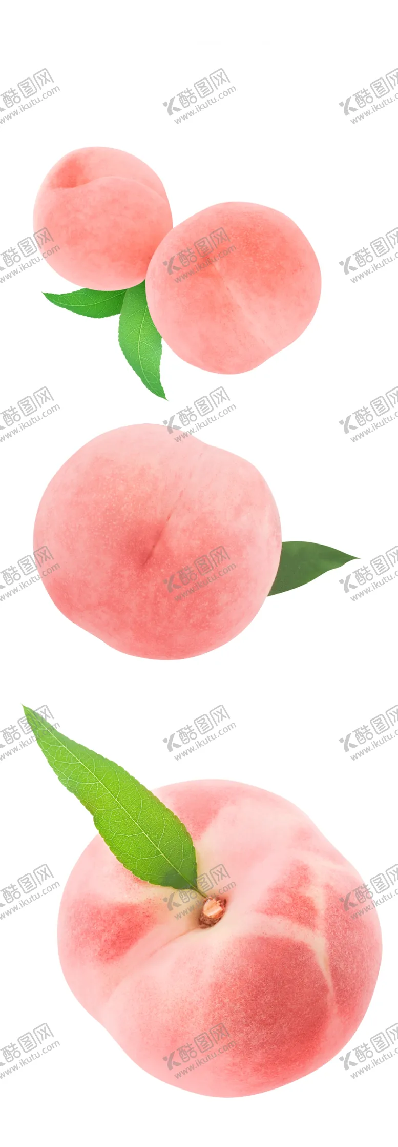 编号：37591204200609511698【酷图网】源文件下载-桃子水蜜桃