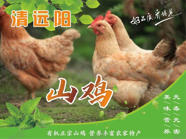 编号：92997901262018195311【酷图网】源文件下载-土鸡标签 