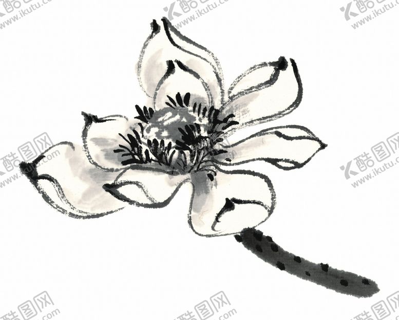 编号：91764605121910357728【酷图网】源文件下载-墨荷荷花莲