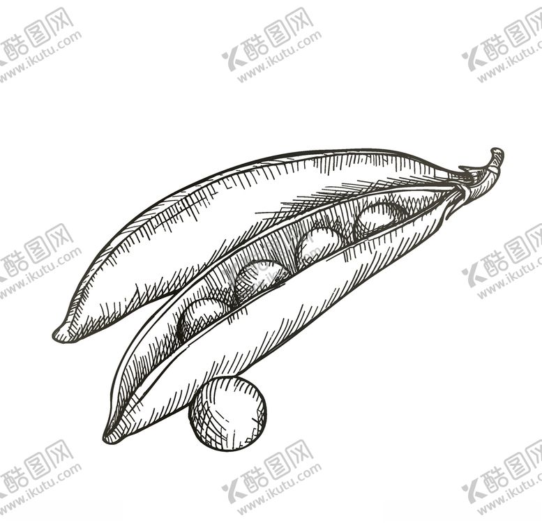 编号：28465009220321566446【酷图网】源文件下载-蔬菜