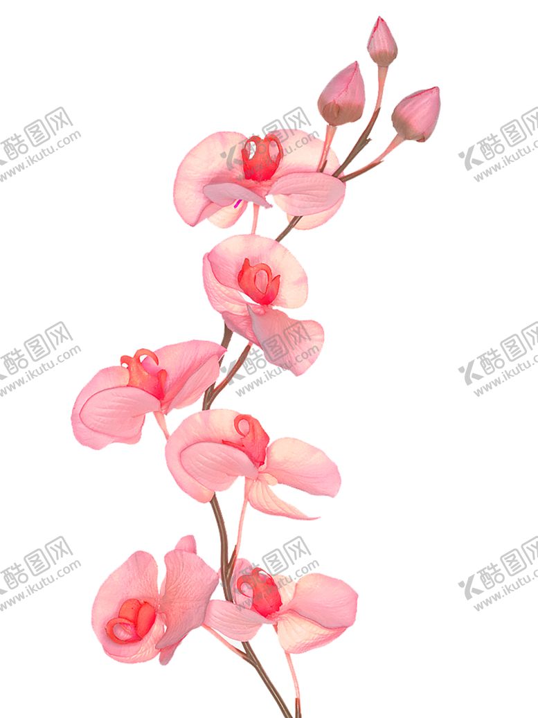 编号：33593005180943435602【酷图网】源文件下载-鲜花素材