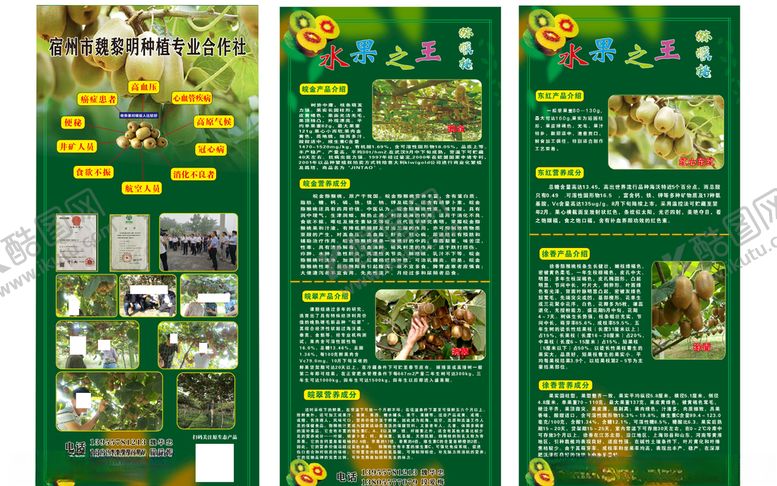 编号：60494910201645522941【酷图网】源文件下载-猕猴桃