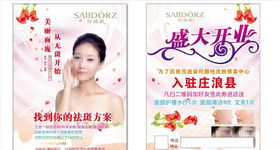 莎迪姿祛斑宣传单页