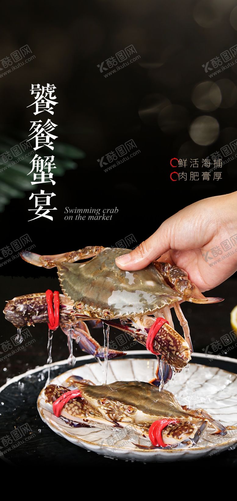 编号：96243502180515329427【酷图网】源文件下载-梭子蟹